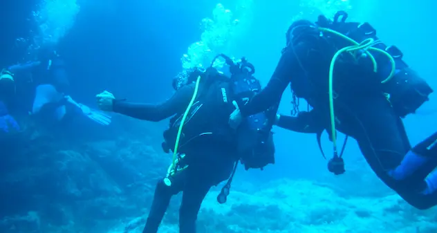 L’Oscar dell’ecoturismo 2022 assegnato all’Area marina protetta dell’Asinara