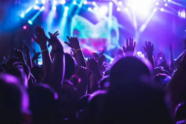 Audience enjoying a concert on a music festival.