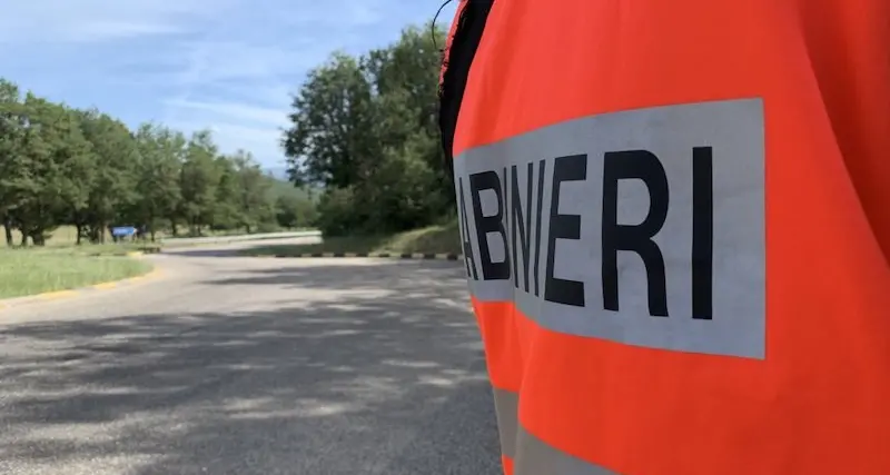 Incidente stradale sulla provinciale 56: auto travolge un muflone