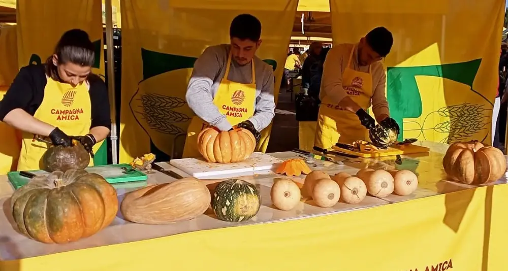 Zucca Day. Nei mercati di Campagna Amica petizione contro il cibo sintetico