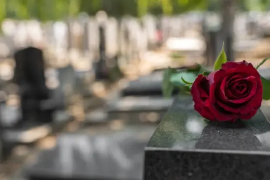 Red rose flower on a grave in a cemetery