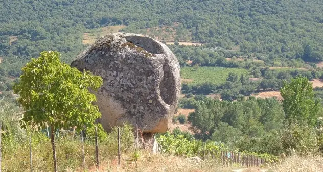 Alla scoperta dei vini di Atzara lungo il sentiero naturalistico \"Is Camminus de is Bingias\"