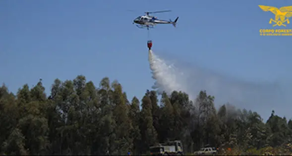 Domato l’incendio nelle campagne di Bottidda