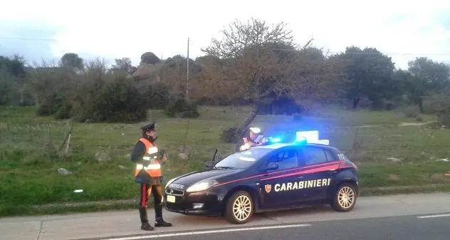 Tragedia a Florinas: anziano travolto e ucciso da un albero che stava tagliando