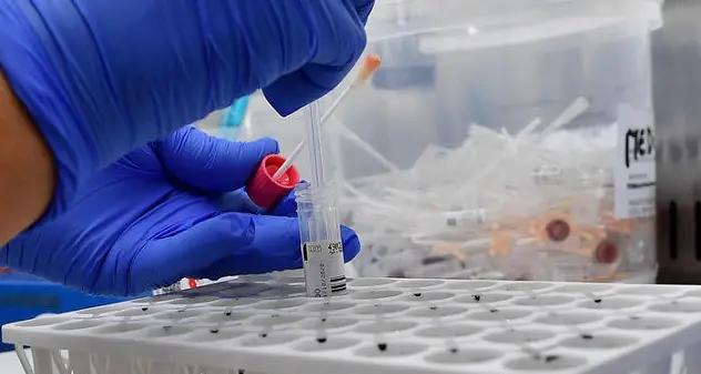 Ordine biologi sardi, niente quorum alla prima convocazione