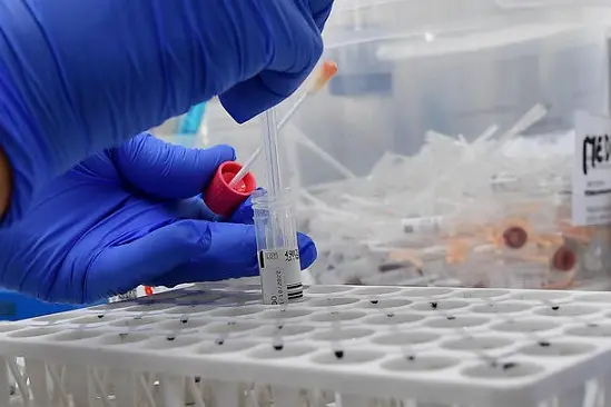 Laboratorio analisi tamponi Covid presso l\\u2019ospedale Molinette citt\\u00E0 della salute di Torino, 21 ottobre 2020 ANSA/ALESSANDRO DI MARCO