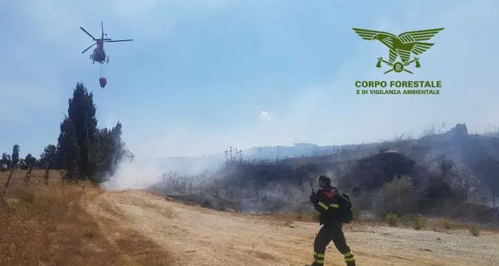 Incendio nelle campagne di Guamaggiore, sul posto la Forestale