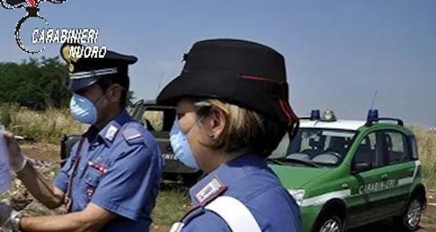 Controlli dei Carabinieri nelle aziende agricole: 50 mila euro di multa