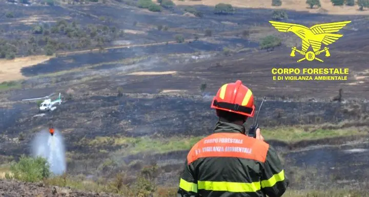 Incendio a Suni, sul posto la Forestale