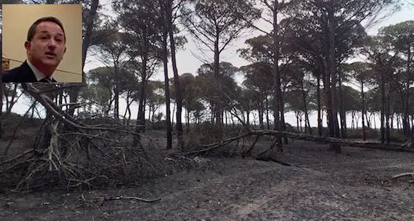 Incendio Arborea. Cera (Forza Italia): “Un giorno pesante per il nostro territorio”