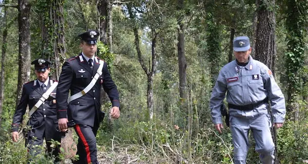 Sinnai. Discarica abusiva scoperta dai carabinieri
