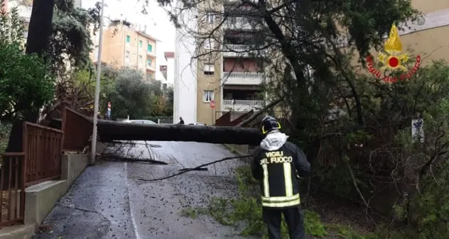 Il prezioso lavoro dei Vigili del fuoco: 40 interventi in una mattina nel Sassarese