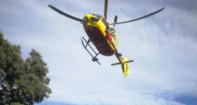 Luogosanto. Caricato da cinghiale durante battuta di caccia, 36enne finisce in ospedale
