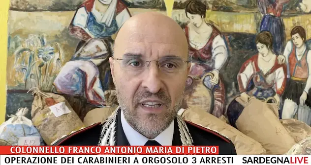 Orgosolo. I Carabinieri trovano 700 kg di marijuana. In manette padre e figlio e un 51enne. LE INTERVISTE