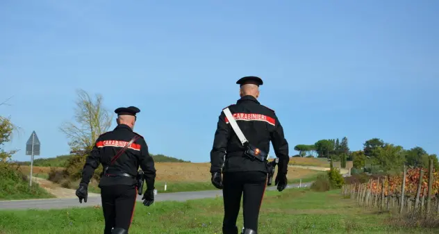 Monastir. Ruba 110 chili di arance e le nasconde nel bagagliaio dell’auto