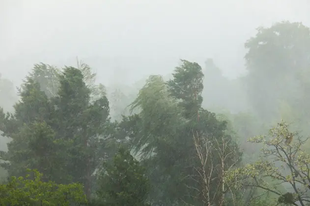 Stormy weather with rain