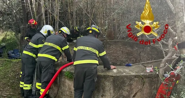 Tragedia a San Teodoro. Tenta di salvare cane e muore in un pozzo