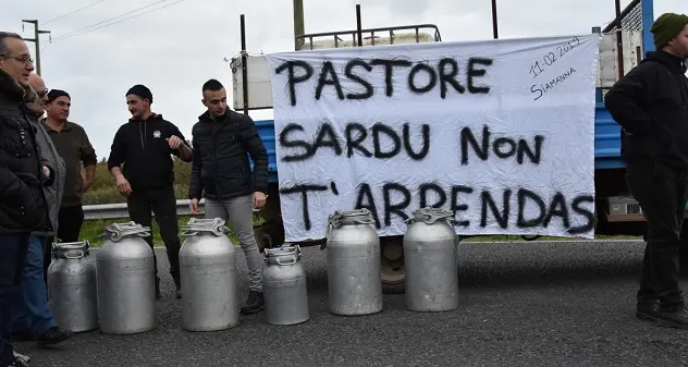 Gianuario Falchi suona la carica: \"L'assessore fa il gioco dei padroni? Il 29 ottobre andiamo tutti a Cagliari\"