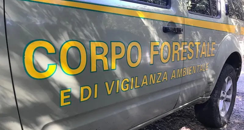 Bracconiere trovato con armi da guerra in auto e nell'ovile
