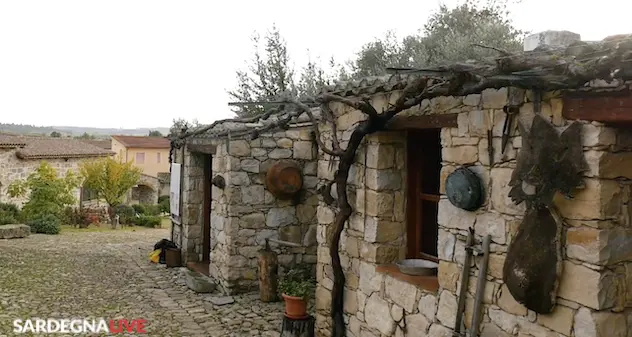 Sapori d'autunno nella terra del grano: a Ortacesus. Appuntamento sabato e domenica