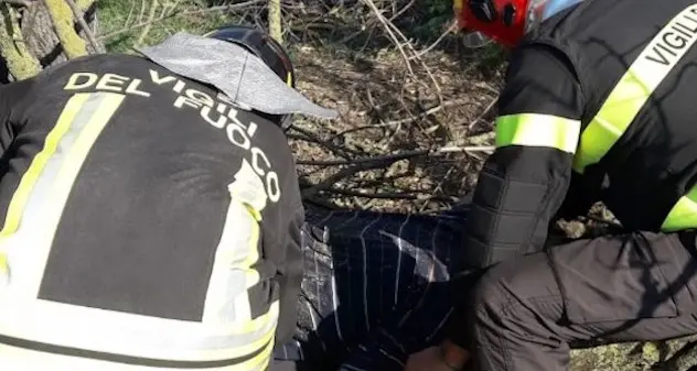 Ferito mentre taglia un albero: resta bloccato sotto il tronco