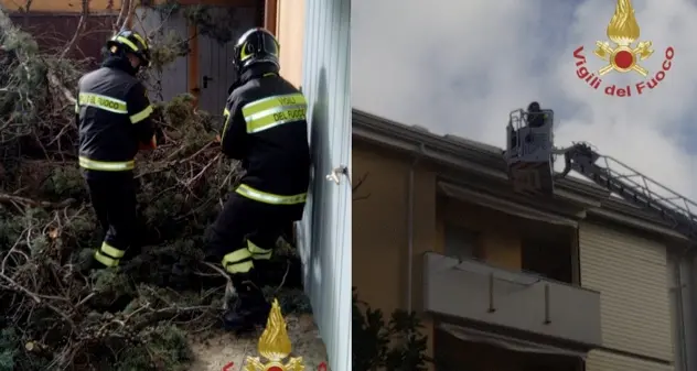 Alberi sradicati, cornicioni pericolanti e cartelli stradali divelti: oltre 50 interventi dei Vigili del fuoco nel Sassarese