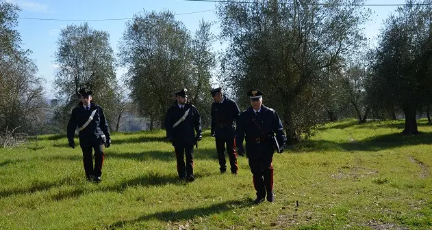 Villamar. Trova il suo rottweiler con ferite da motosega sul volto: mistero su quanto accaduto