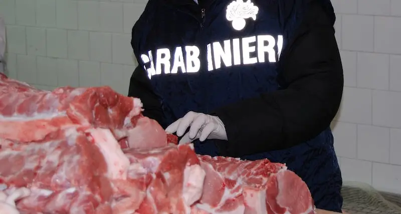 Cagliari. Insetti, mozziconi di sigarette e topi morti: Nas in un’azienda di distribuzione alimentare