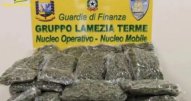 Da Nuoro alla Calabria due pacchi con 50 chili di marijuana