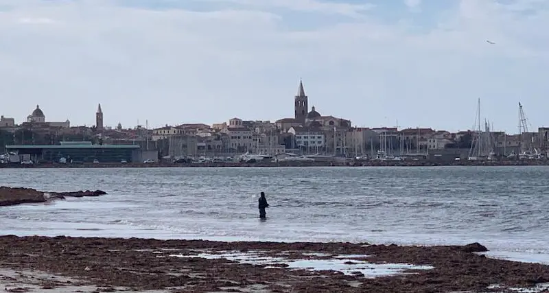 Meteo: nel weekend nuovo ciclone, piogge e vento forte al Sud