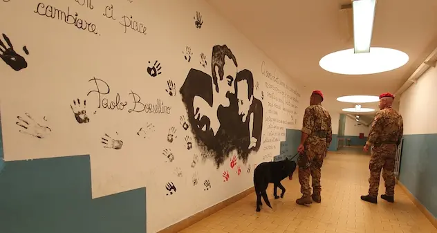 Tortolì. Marijuana tra gli studenti: prosegue l’operazione dei carabinieri “Scuole Sicure”