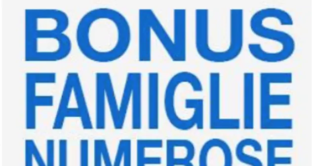 Bonus in arrivo per le famiglie numerose