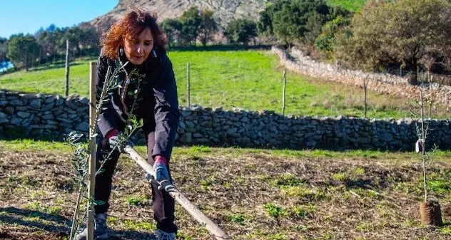 A Cuglieri rinasce un'area distrutta dagli incendi