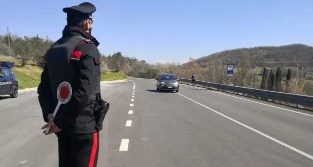 Violento scontro auto-mucca a San Vito