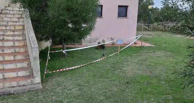 Rubate le piante della raccolta benefica