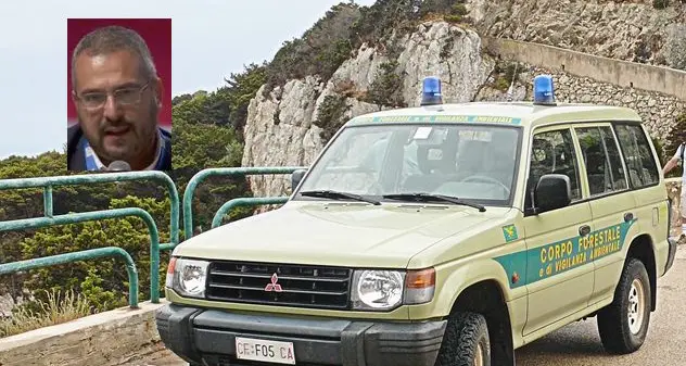 Forestale. Anci Sardegna scrive alla Regione: “Rafforzare gli organici”
