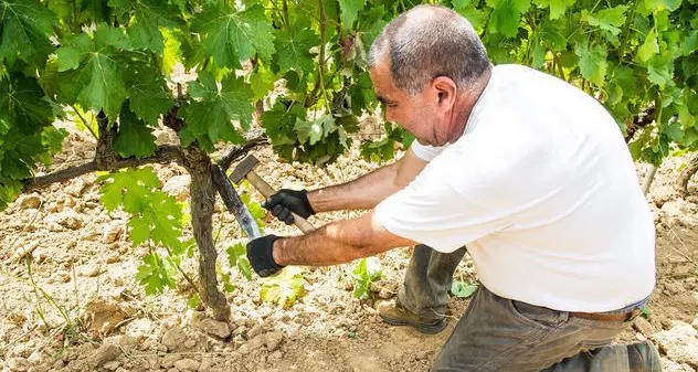 Dal vino alla pittura ad Atzara: il programma di Autunno in Barbagia