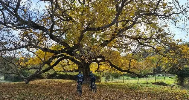 Belvì, il maltempo costringe allo stop: niente escursione in Mtb domani 10 dicembre