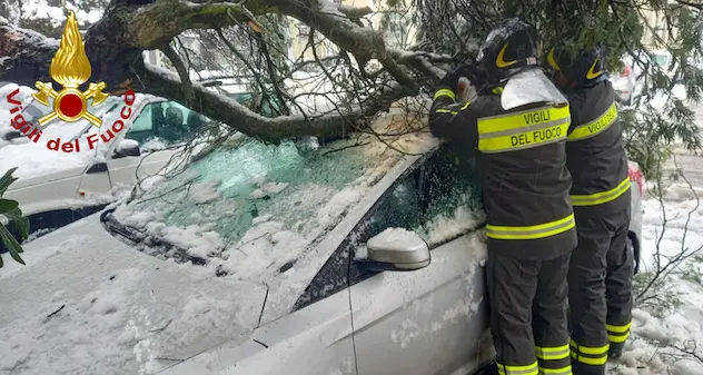 Tempio. Alberi caduti sulla strada e persone bloccate dalla neve