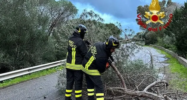 Maltempo: 150 interventi dei Vigili del fuoco in Sardegna tra ieri e oggi