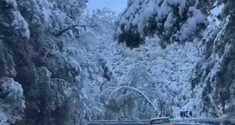 Nevica ancora nel Nuorese: le previsioni per i prossimi giorni