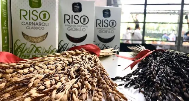 Riso Passiu: un’azienda “Gioiello”. Eccellenza sarda di cui andare fieri