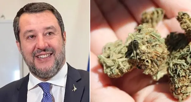 Salvini-Schlein, duello social sulla cannabis