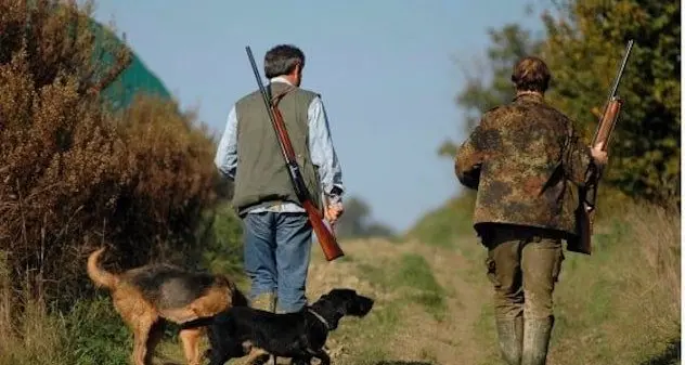 Feriti due cacciatori durante una battuta: incidenti a Dorgali e nelle campagne tra Olbia e Telti
