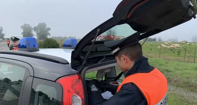 Alla guida in stato di ebbrezza: scattano le denunce e il ritiro delle patenti