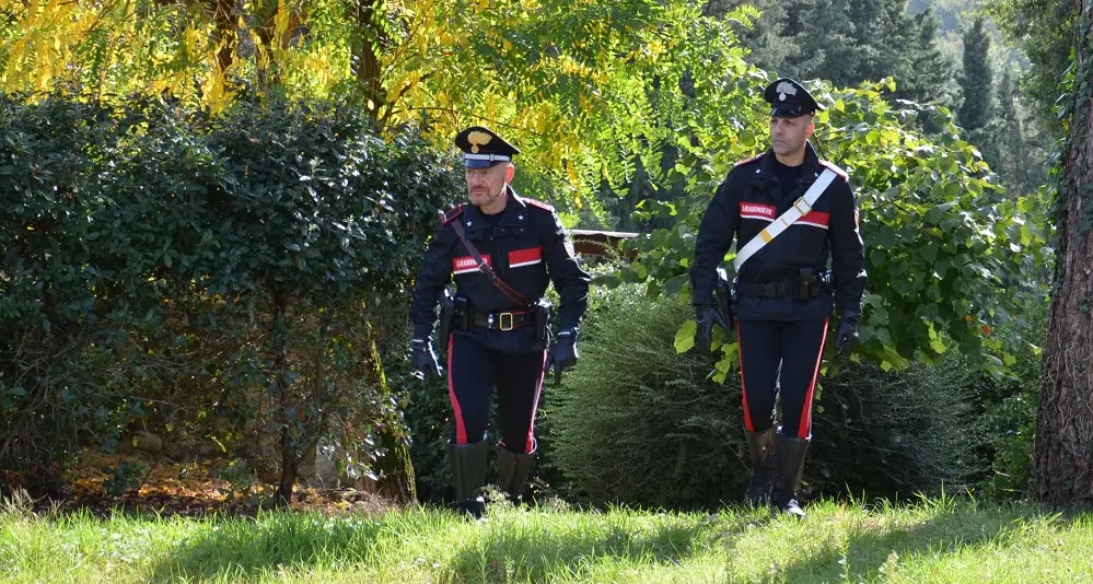 Operaio senza contratto in un'azienda agricola: attività sospesa per un imprenditore