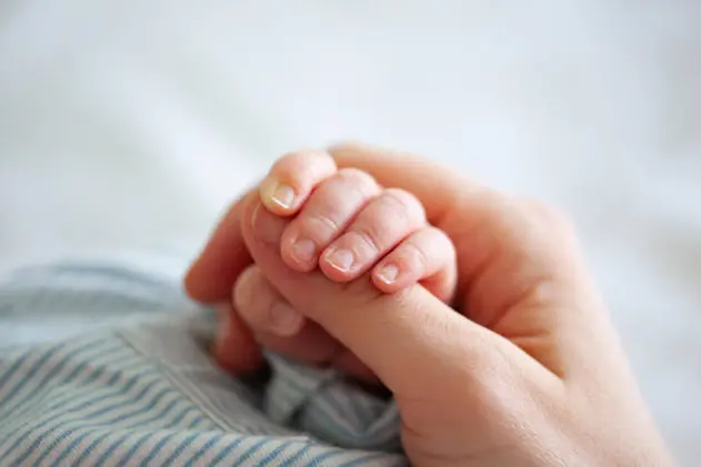 Baby Boy Holding Mothers Hand