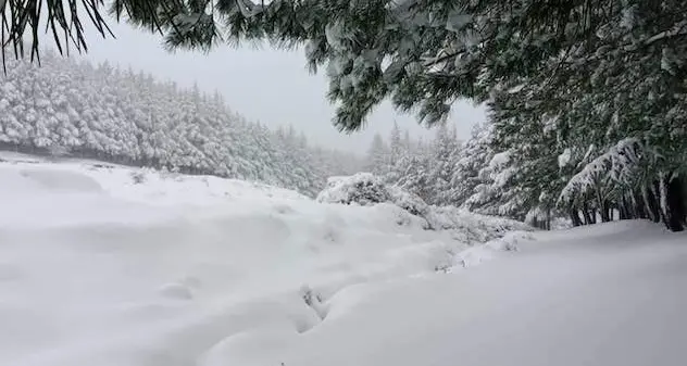 Si intensifica il maltempo. Arriva ciclone con nubifragi di neve