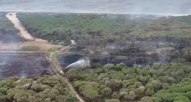 Incendio nella pineta di Arborea: c'è un indagato, rischia 10 anni