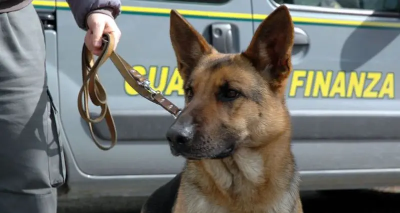 Bloccato con 700 grammi di cocaina nello stomaco, giovane arrestato dalla Guardia di Finanza